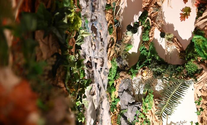 Exploring the landscapes of Mid Wales through arts and science